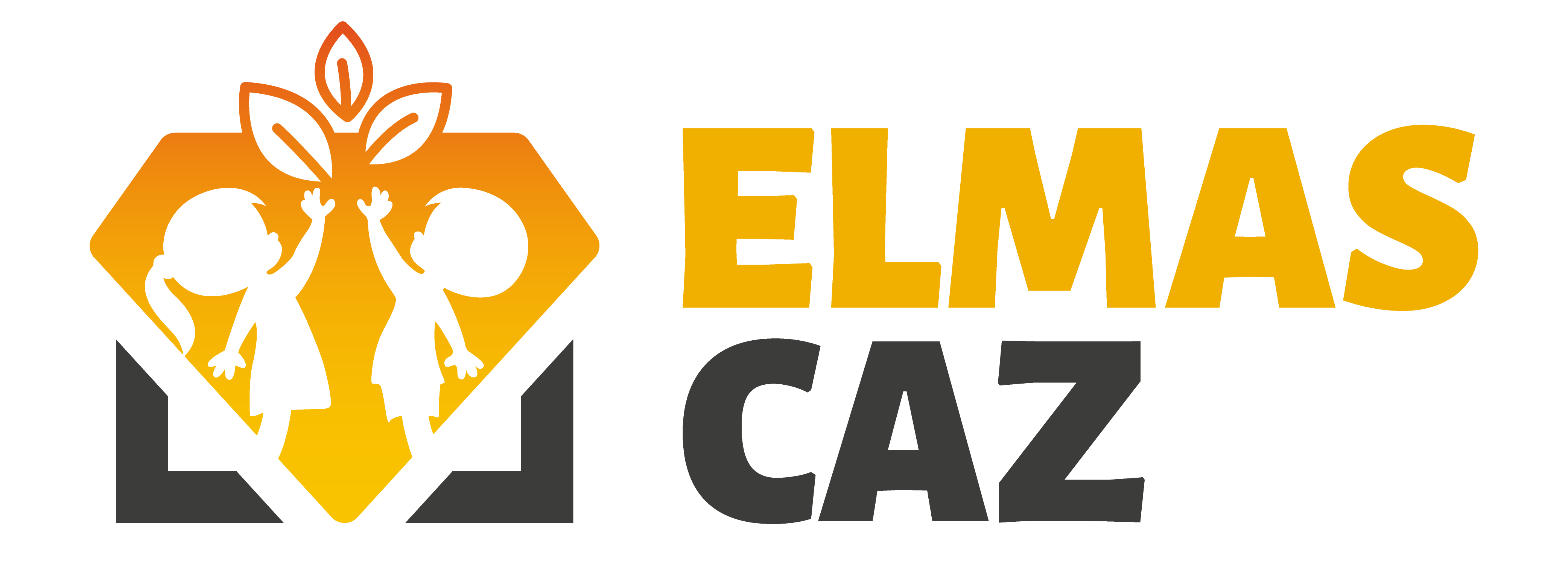 Elmas Caz Çocuk Akademi